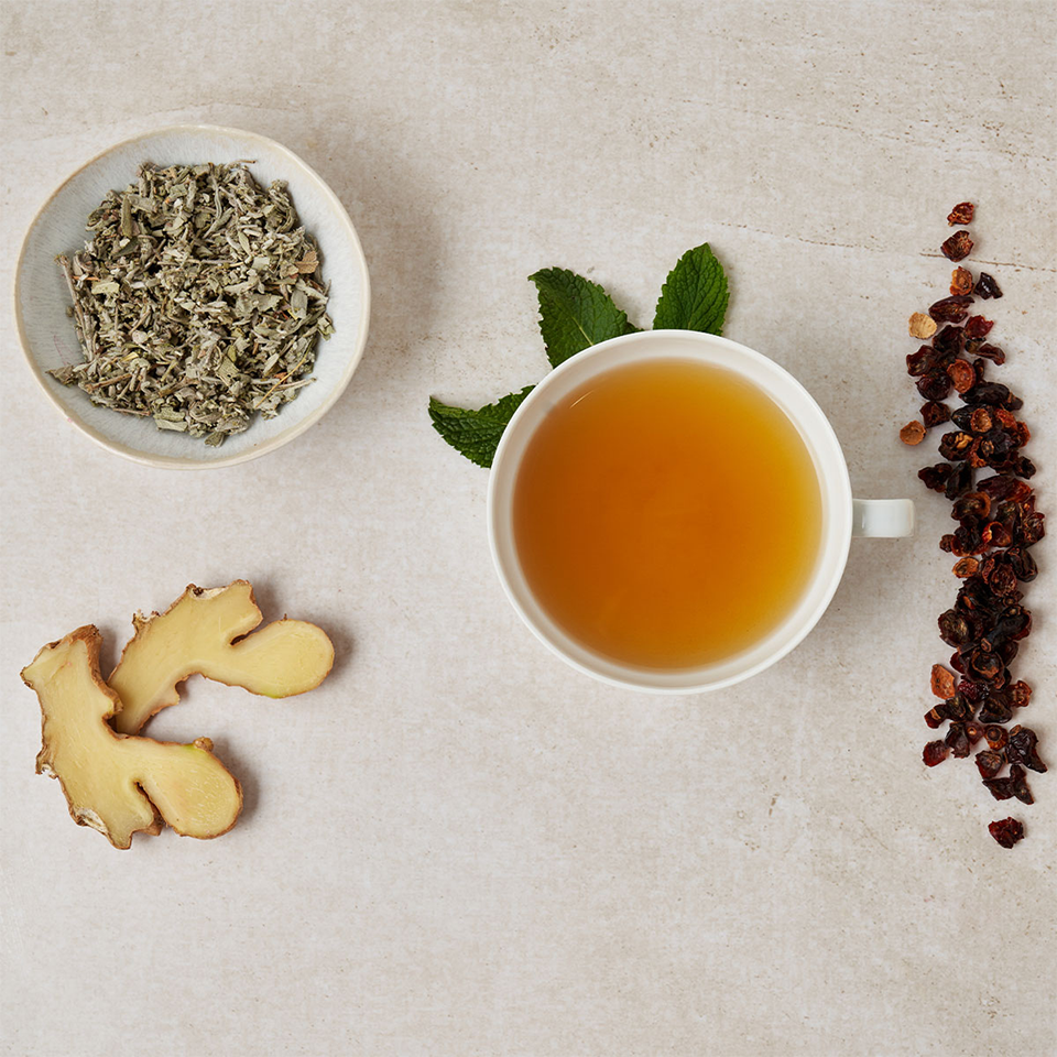 Ceai de fructe, Teekanne, Ghimbir-Portocale, 32,4 g