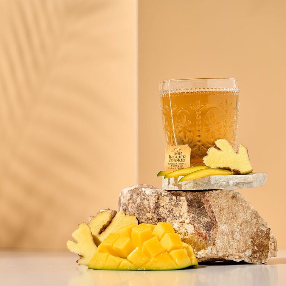 Ceai de fructe, Teekanne, Mango-ghimbir, 45 g